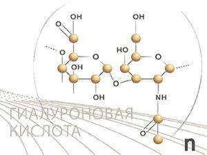 filler-02.jpg filler-02.jpg